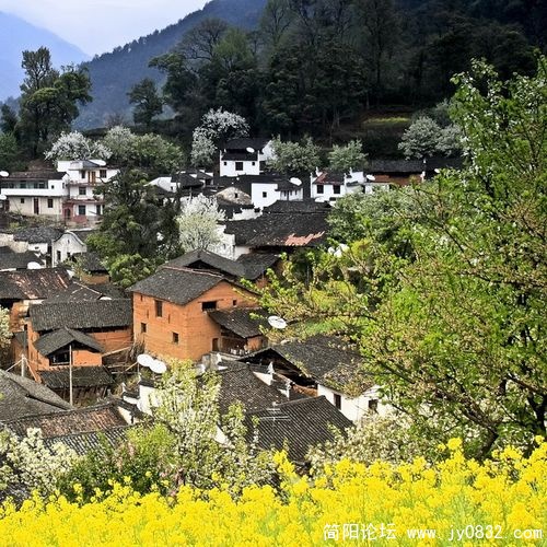 1550904_wuyuan_21.jpg