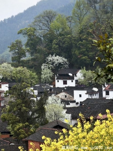 1550904_wuyuan_19.jpg