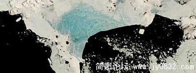 d12.jpg