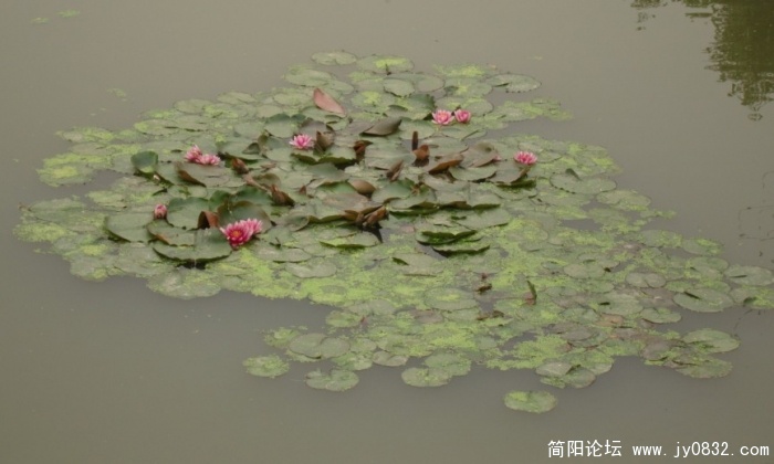 QQ截图未命名.jpg