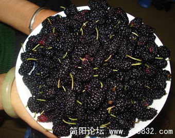 DSC02445.JPG