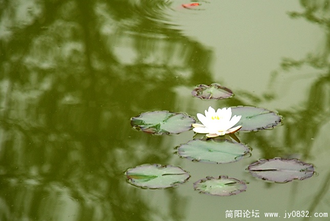 DSC_0735.JPG