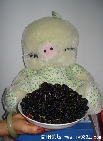 DSC02442.JPG