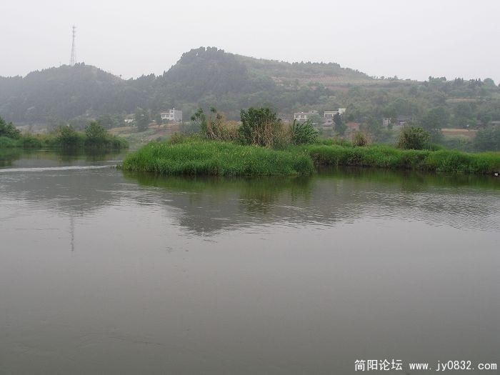 P4263145.JPG