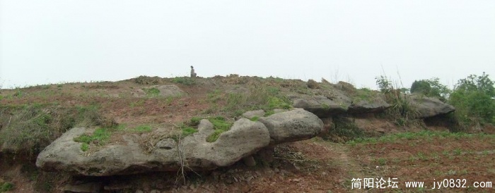 S7300060.JPG
