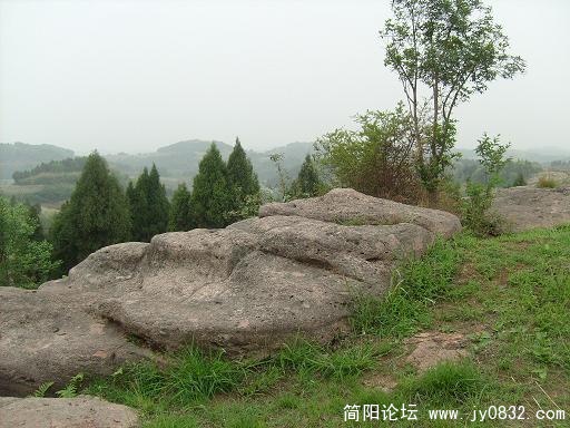 S7300095.JPG