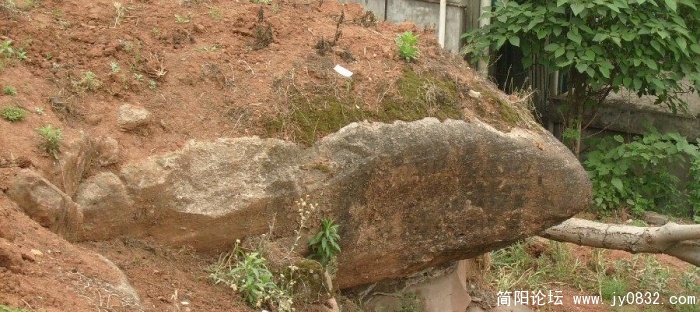 S7300071.JPG