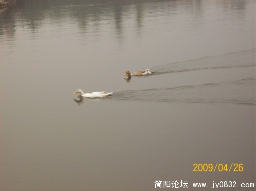 100_1671.JPG