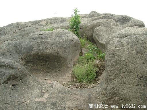 S7300049.JPG