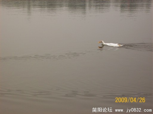 100_1669.JPG