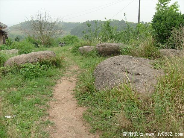 S7300105.JPG