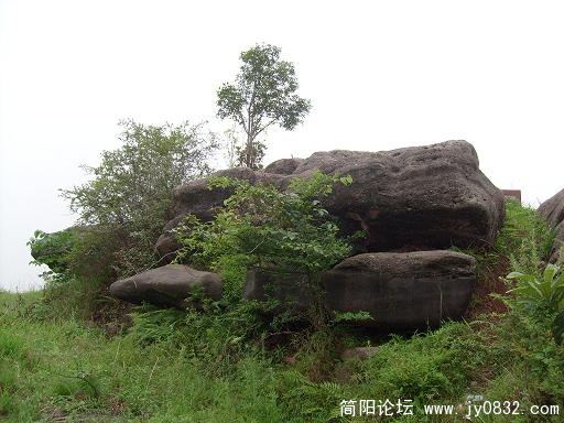 S7300086.JPG