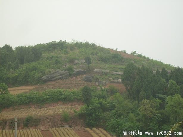 S7300039.JPG