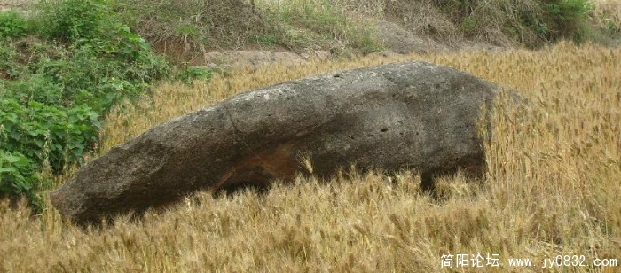 S7300069.JPG