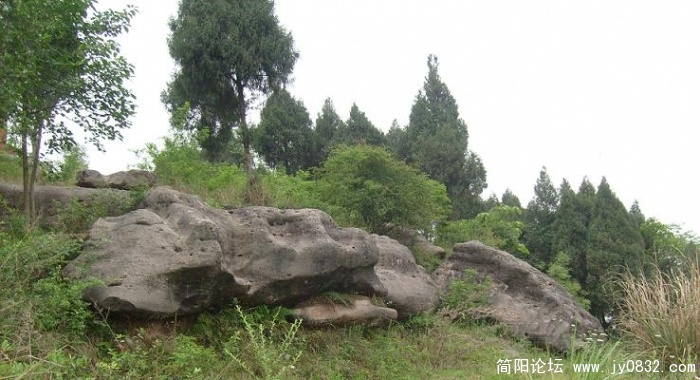 S7300076.JPG