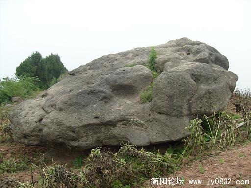 S7300045.JPG
