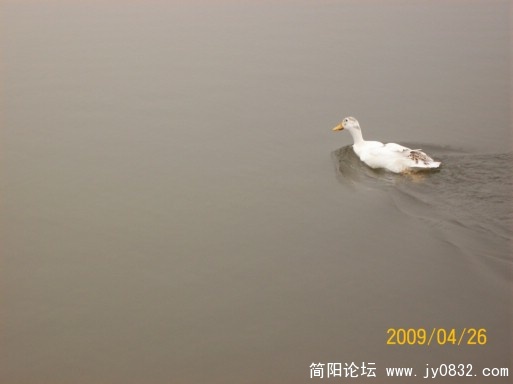 100_1670.JPG