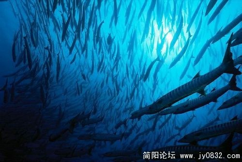 1518821_country_geography_blue7.jpg