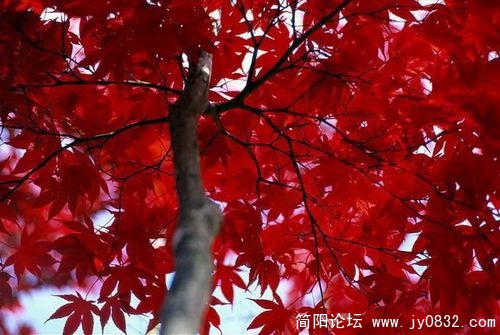 1513854_country_geography_red8.jpg