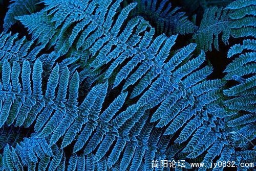 1518821_country_geography_blue12.jpg