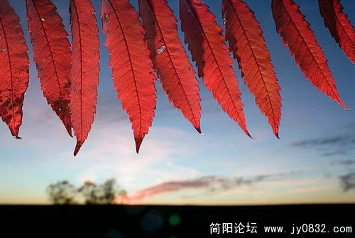 1513854_country_geography_red9.jpg