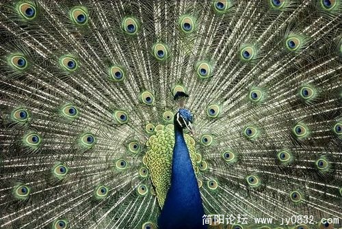 1518821_country_geography_blue14.jpg
