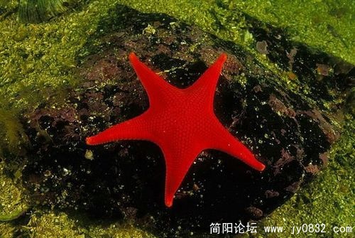 1513854_country_geography_red12.jpg