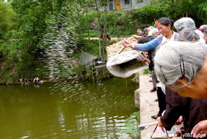 20090426_c6550055fa3c0b64e9ac9wBpacXh3DwY.jpg
