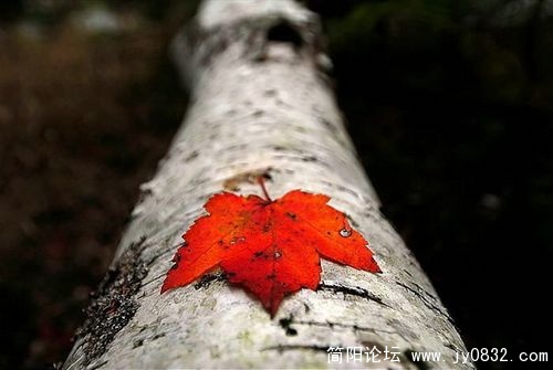 1513854_country_geography_red7.jpg