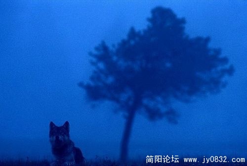 1518821_country_geography_blue16.jpg