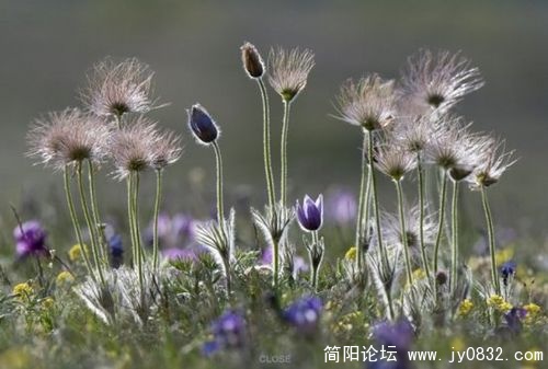 1509217_nature_award_9.jpg