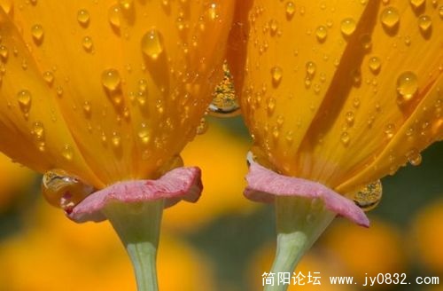 1509217_nature_award_13.jpg