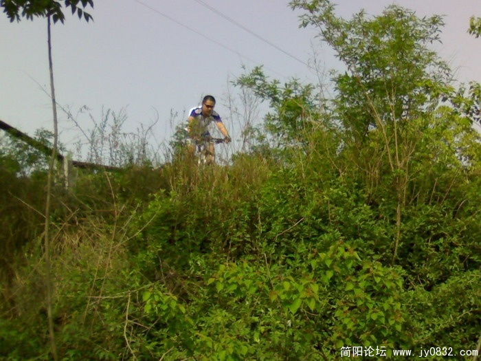 20090419774.JPG