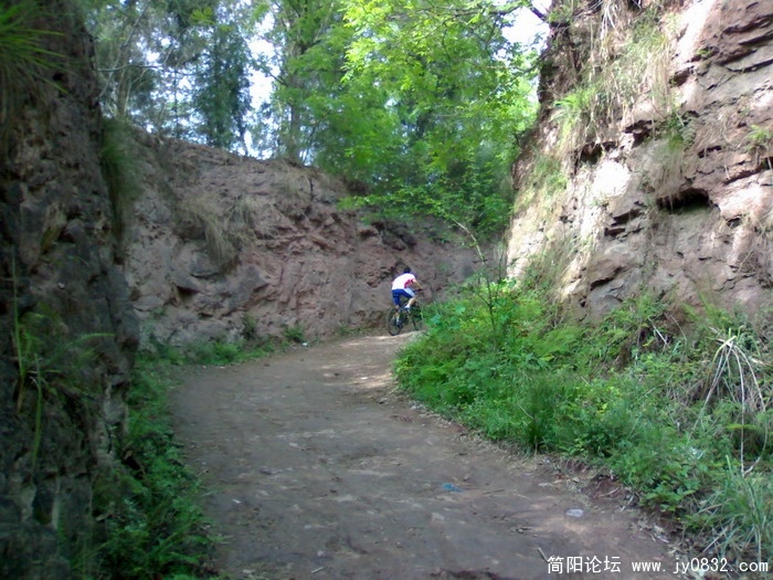 20090419777.JPG