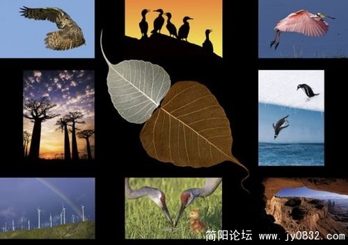 1509217_nature_award_19.jpg
