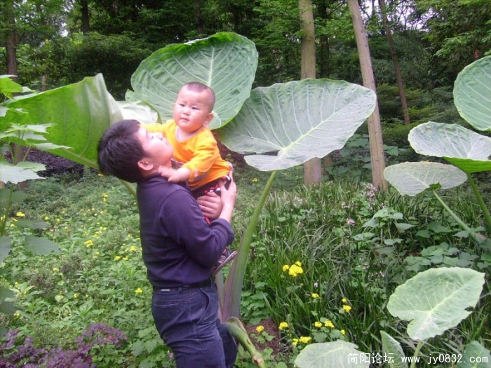 20090430 (407).JPG
