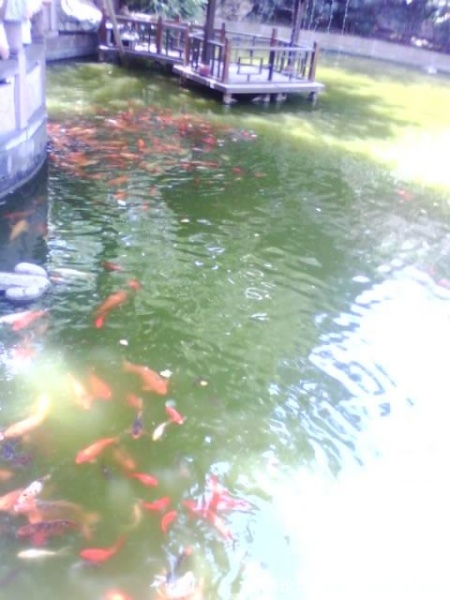 IMG0359A.jpg