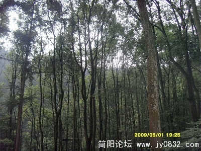 SDC11932.jpg