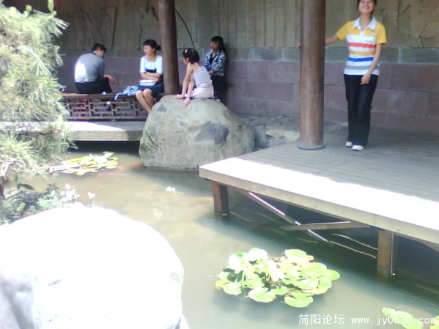 IMG0376A.jpg