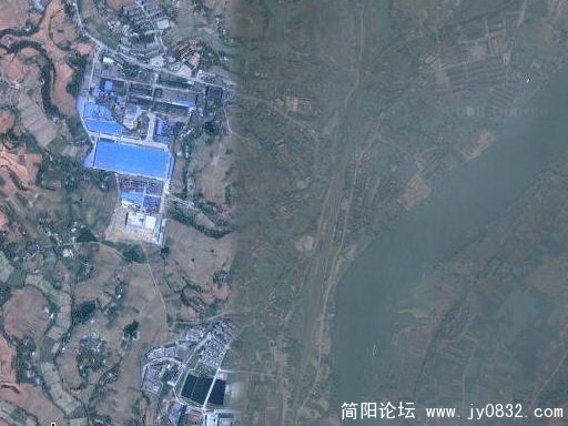 养马