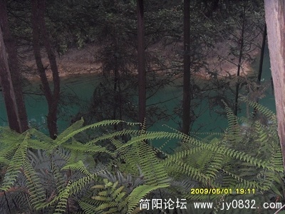 SDC11911.jpg