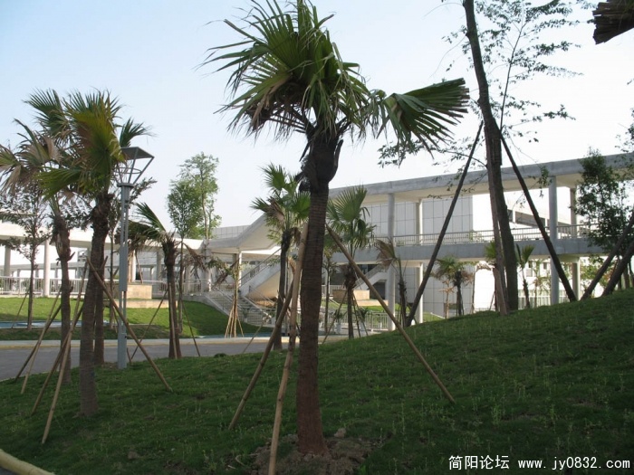 政府2.jpg