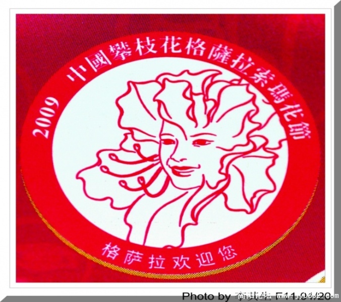 索玛花图标