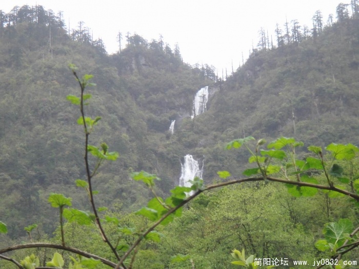 调整大小 DSC04474.JPG