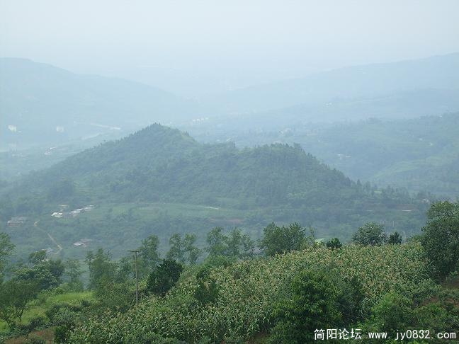 半山