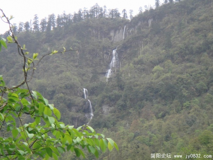调整大小 DSC04475.JPG