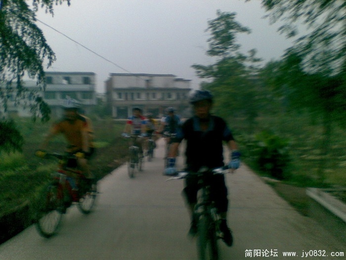图像005.JPG