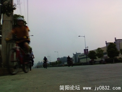 20090506812.jpg