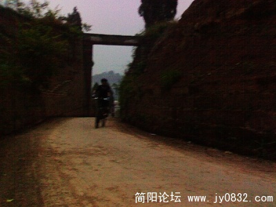 20090506821.jpg