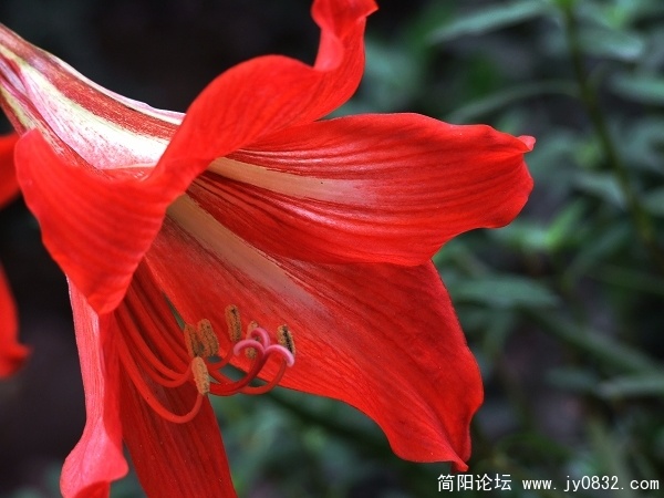 DSCF9744aa.jpg